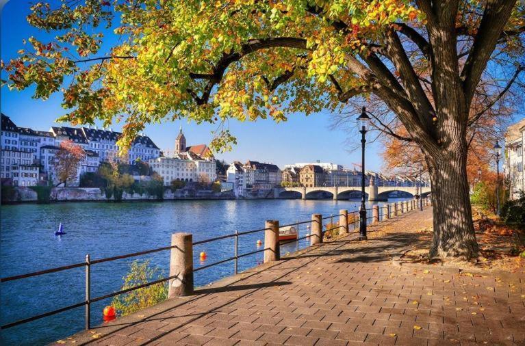 Apartamento Schweiz Basilea Exterior foto