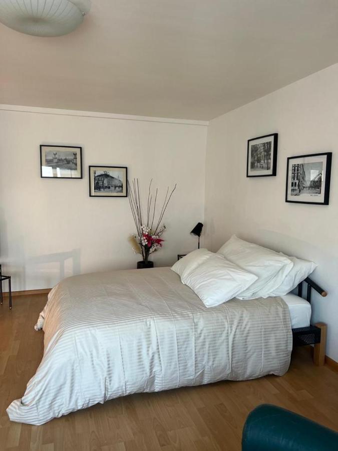 Apartamento Schweiz Basilea Exterior foto