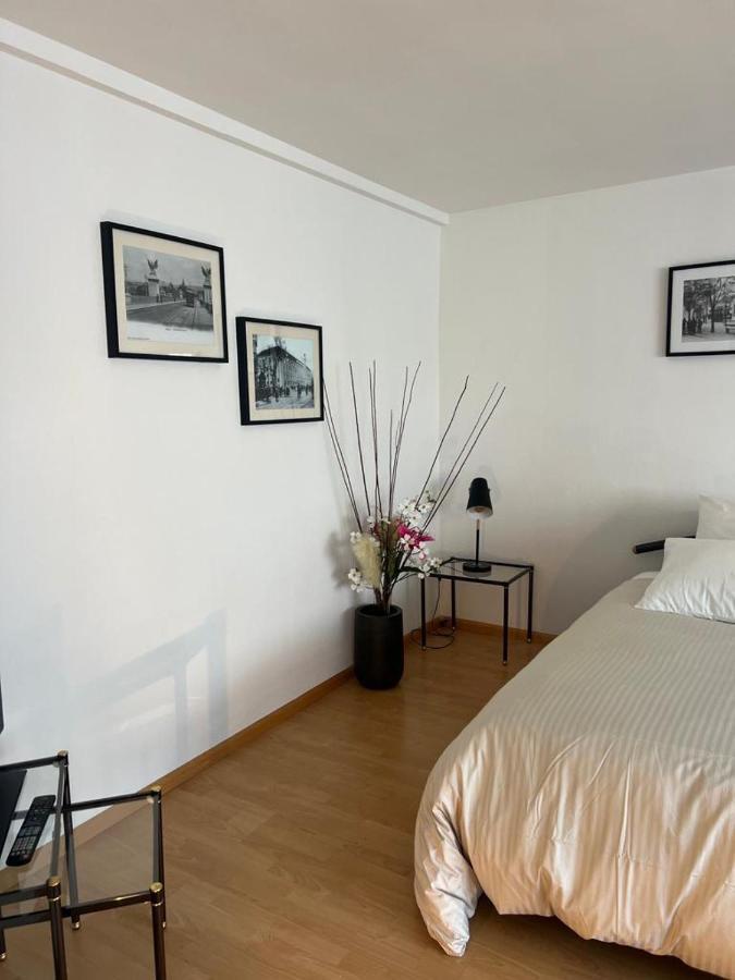 Apartamento Schweiz Basilea Exterior foto